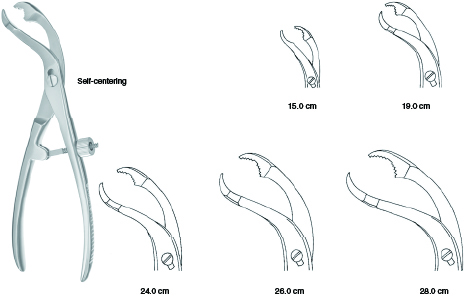 Bone Holding Forceps